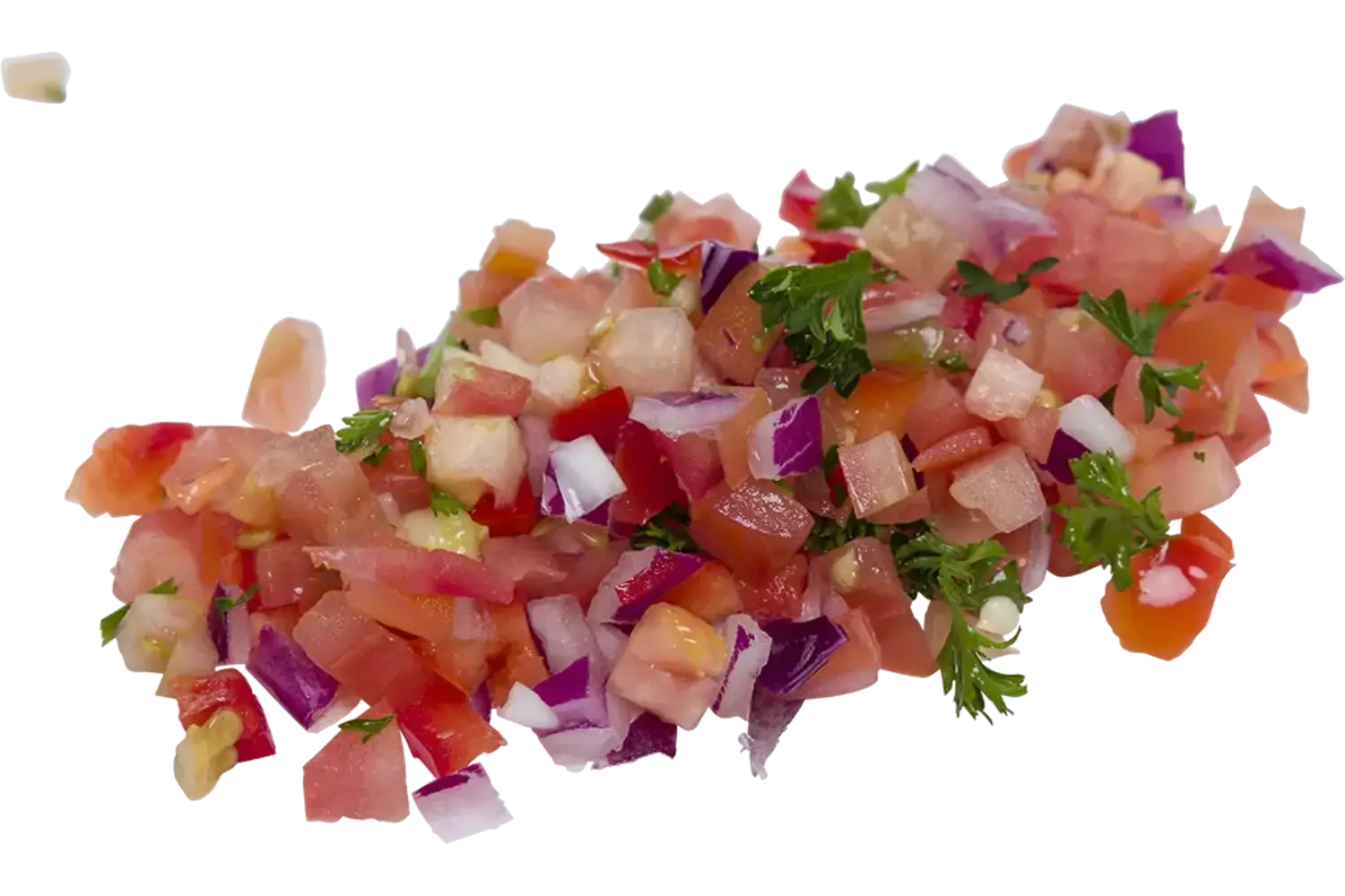 Tomatensalsa 5mm met knoflook 1kg stuk 1